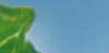 Solarexpo e Greenbuilding